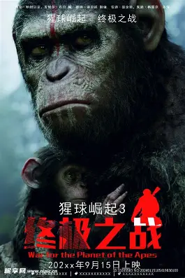 城市周末骑行路线分享